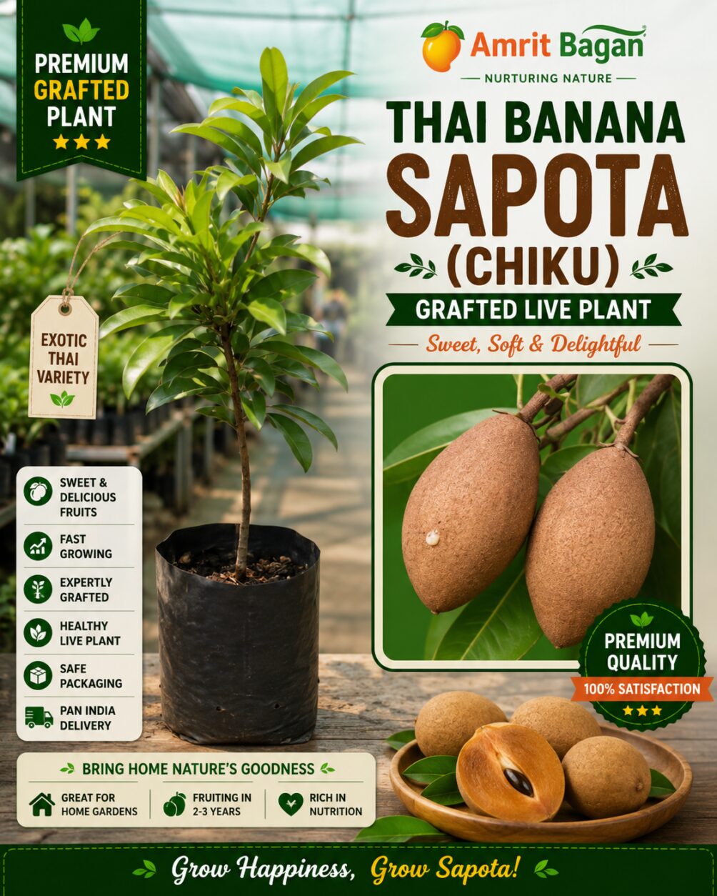 Thai Banana Sapota chikup